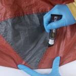 Gear Aid Seam Grip+WP, Sealant+Adhesive, Nahtversiegelung + Reparatur, Zelt etc.