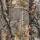 Gear Aid Camo Form Wrap, selbsthaftendes Strechband in Realtree Tarnmuster